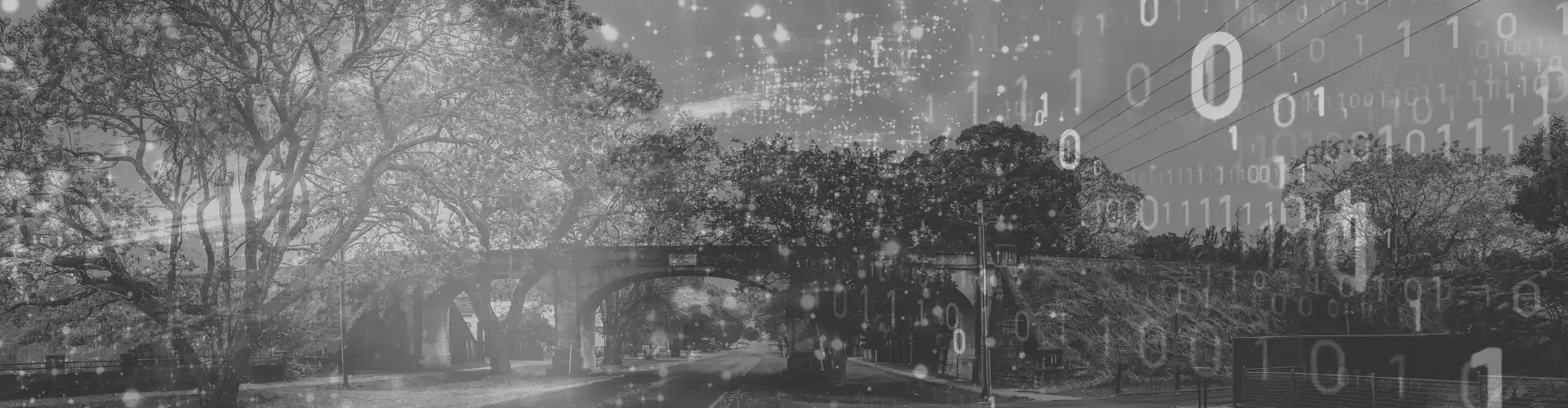 Programming code with Northern Rivers landscape