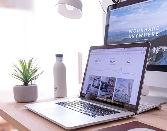 Companies and Organisations