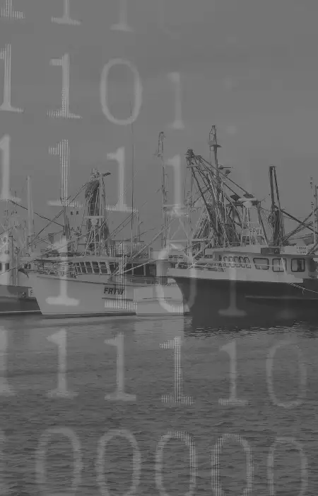 Programming code with Central Coast landscape